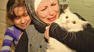 Un gatito encontró a su familia después de cuatro meses y cuatro mil kilómetros