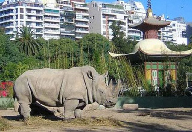 chau zoo. El zoo del barrio de Palermo será convertido en un ecoparque.