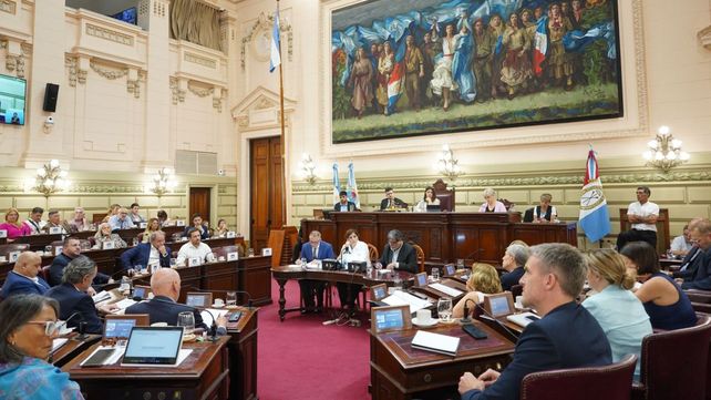 La Legislatura tiene tiempo hasta el 30 de noviembre de habilitar la reforma constitucional.