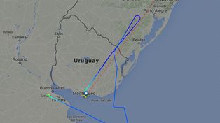 Un avión de Iberia chocó con una bandada de aves y aterrizó de emergencia en Ezeiza
