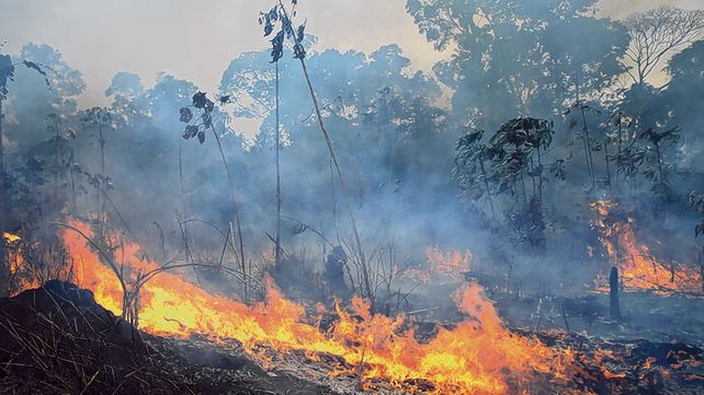 Denuncian que delincuentes incendiaron una reserva indígena