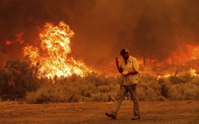 El clima crítico en toda la región ha propagado múltiples incendios forestales en el norte de California.&nbsp;