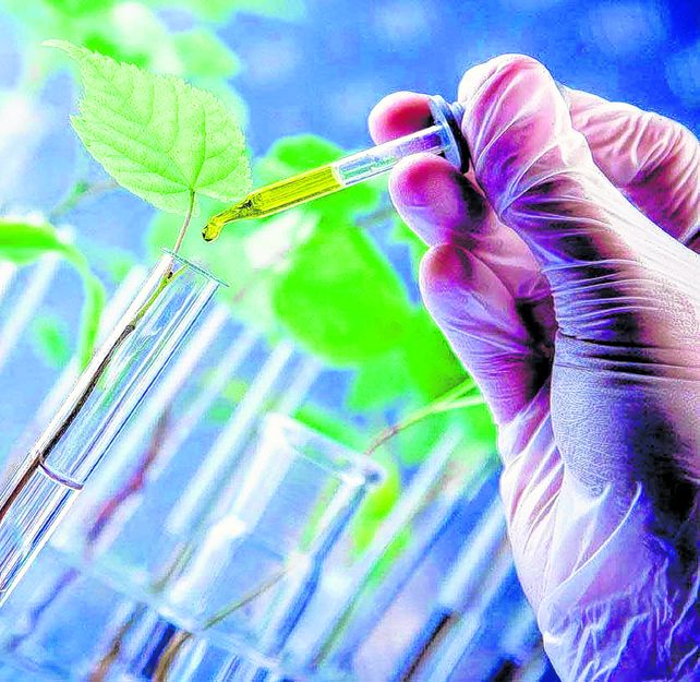 El estudio remarca la importancia de la transferencia.