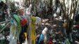 Debaten las prioridades para anticiparse a El Niño en Paraná