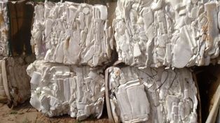 Científicos de Santa Fe crearon un telgopor ecológico 100% biodegradable a partir de cáscara de arroz y hongos