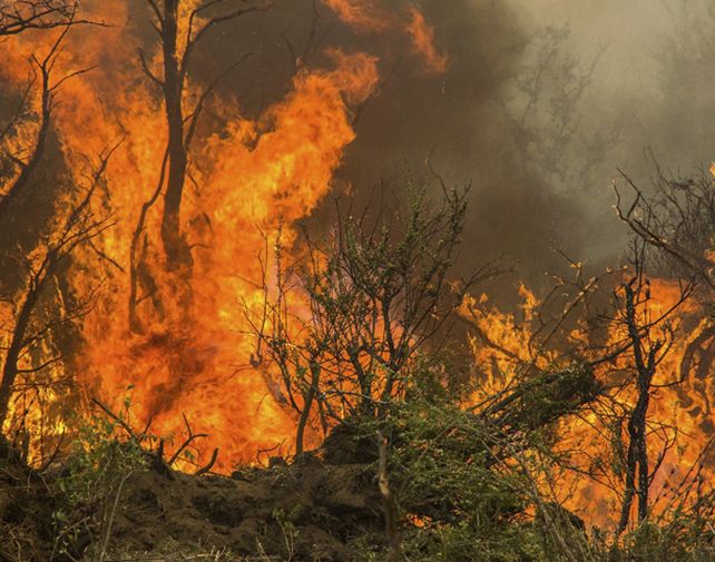 El fuego avanza incontenible y rezan para que llueva.