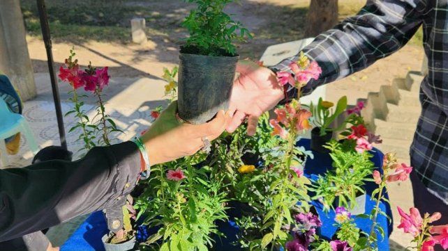 El Eco Canje sigue recorriendo la ciudad de Santo Tomé