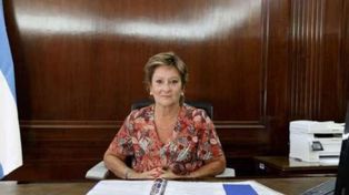 Fuego cruzado: la subsecretaria de Ambiente nacional presentó la renuncia por agotamiento