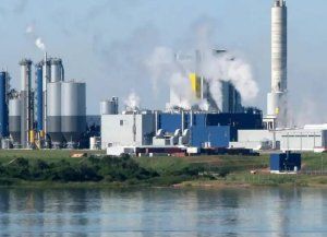 Uruguay proyecta una segunda papelera frente a Entre Ríos