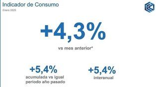 El consumo masivo ha experimentado una caída sostenida en las ventas desde el inicio del 2024, pero este año inició con crecimiento