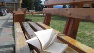 San José del Rincón tendrá su primera siembra de libros