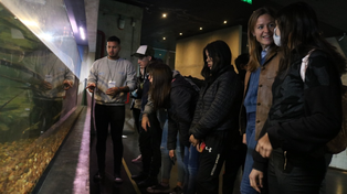 Diversas propuestas y actividades educativas en el complejo de la costanera norte.