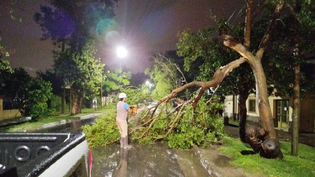 La Municipalidad de Paraná asistió a 60 familias por el temporal