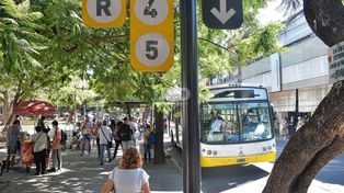 Transportistas de corta y mediana distancia anunciaron un paro de 48 horas