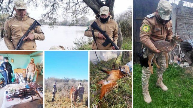 Allanamientos de personal de Delitos Rurales secuestran armas