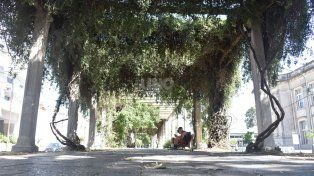 Domingo soleado en la ciudad de Santa Fe para terminar el fin de semana