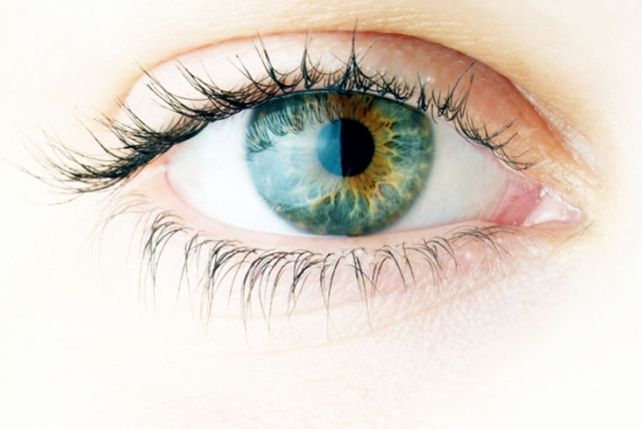 ¿De qué color serán los ojos de nuestros hijos?