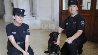 La Negrita de Casa de Gobierno, la mascota que a diario suma seguidores