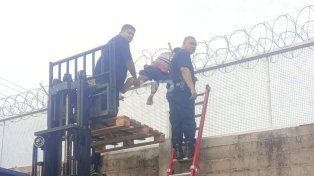 Quedo atrapado en u intento de robo a aun mayorista en Recreo