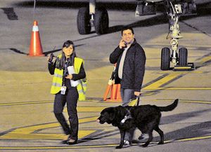 Ahora las personas ciegas podrán viajar con sus perros guía en el transporte público