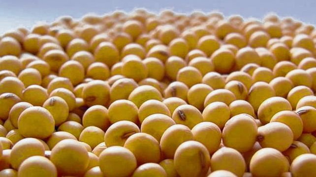 Semillas: Macro Seed estrenó variedades