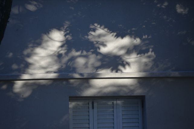 El sol se gana un lugar entre los árboles.&nbsp;