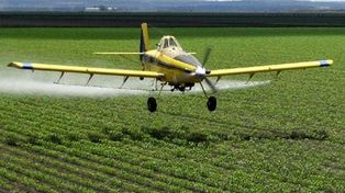 Agroquímicos: qué dice la ley Berteroy qué le cuestionan sus detractores