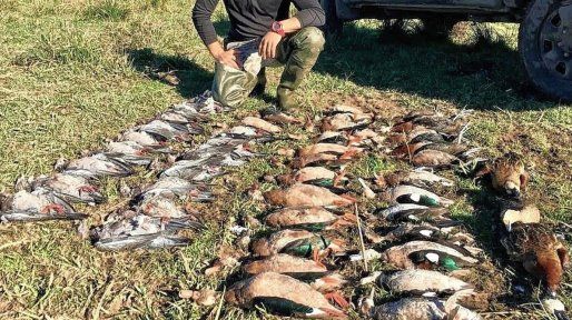 Caza menor: en una audiencia clave ONG cuestionarán esta práctica atroz