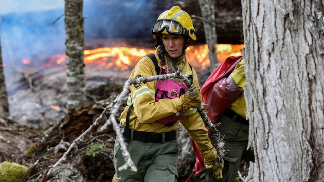Brigadistas combanten los incendios en el Parque Nacional Nahuel Huapi.