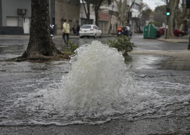 Así brotaba el agua desde un hidrante de Aguas Santafesinas. Muchos pensaron que se trataba de una fuga.