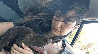 Julieta Tirabassi, una usuaria de Twitter, contó la increíble experiencia que tuvo con su perra, Juana, quien se escapó el fin de semana de una guardería. La joven la había dejado allí, ya que decidió pasar el fin de semana en su pueblo y no podía llevarla. Su historia, con final feliz, fue viral.&nbsp;