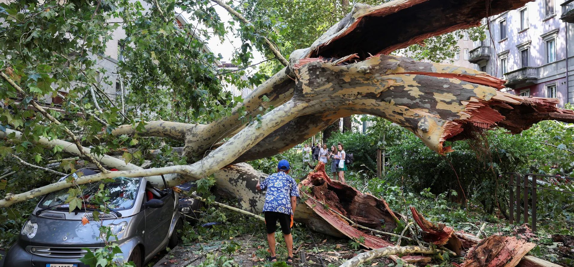 Milán, Italia. La gente se para en medio de árboles caídos después de tormentas eléctricas y lluvias torrenciales. Fotografía: Claudia Greco/Reuters Milán, Italia. La gente se para en medio de árboles caídos después de tormentas eléctricas y lluvias torrenciales. Fotografía: Claudia Greco/Reuters
