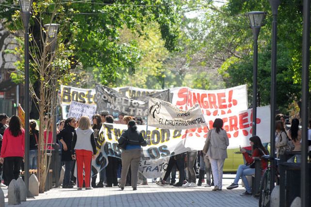 SOS Caballos reclamó frente a los Tribunales