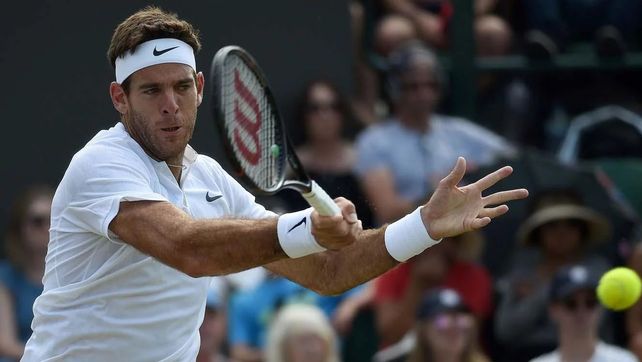 Del Potro volvió con un triunfo en Washington Del Potro volvió con un triunfo en Washington