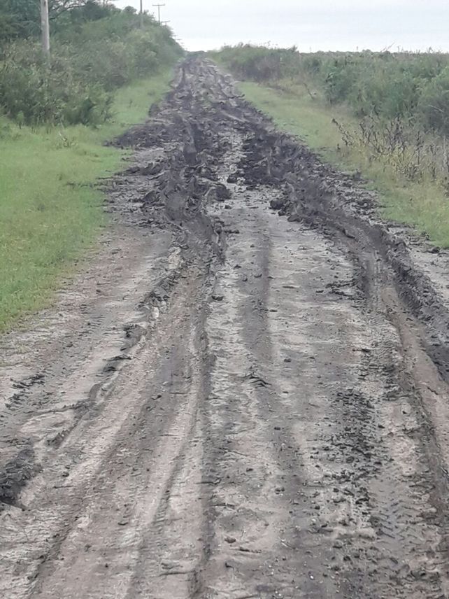 Caminos intransitables. En lugares como Feliciano después de tanta lluvia los suelos están saturados.