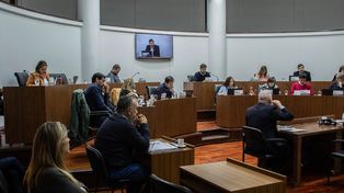 Colastiné: concejales alertan el riesgo por las usurpaciones en la defensa contra inundaciones