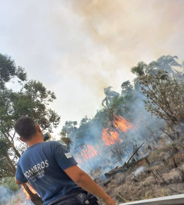 Los incendios de Corrientes en imágenes