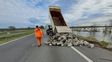 Habilitaron el tránsito en la autopista Rosario – Buenos Aires, sentido a Rosario