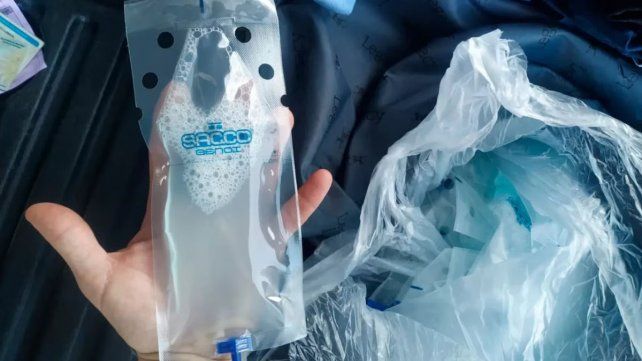 La Aduana argentina detectó una posible maniobra de tráfico con material reproductivo porcino