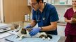 El Colegio de Médicos Veterinarios de la Provincia de Santa Fe, 2ª Circunscripción, celebra su 75º Aniversario