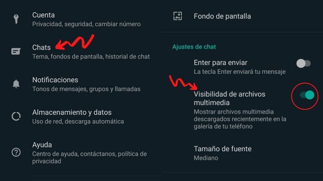 Whatsapp: tips paso a paso para que la memoria no se llene