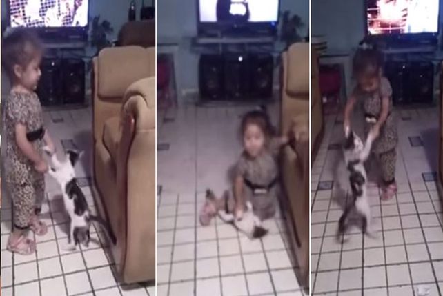 Polémica por una madre que grabó cómo su hija maltrataba a su gatito