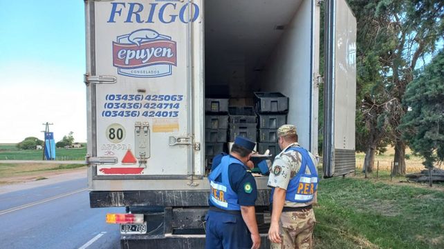 Río Paraná: incautan en Victoria un cargamento ilegal de más de 3.500 kilos de pescado