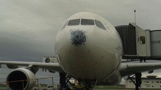 El granizo destruyó la trompa y dañó el parabrisas de un Airbus 330 con 240 pasajeros