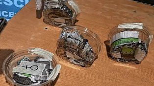 San José: rescataron seis crías de serpiente ocultas en una encomienda