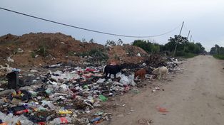 Barrio Las Lomas: denuncian alarmante situación con la basura