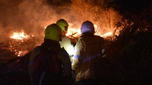 Bomberos voluntarios de Paraná y Crespo y Zapadores trabajaron durante cuatro horas para sofocar un incendio de pastizales en María Luisa&nbsp;