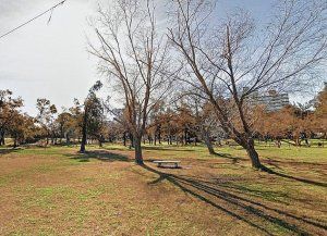 Show de La Renga: vecinos de Bº Sur piden detalles del acampe en el parque y fueron convocados por el municipio