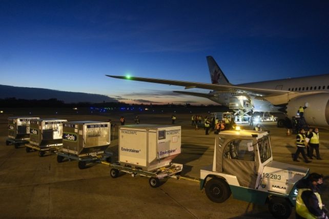 La variante Delta indefectiblemente llegará al país, dijo Cafiero