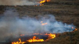 Este viernes, el Servicio Nacional de Manejo del Fuego (SNMF) informó que Entre Ríos, Buenos Aires, La Pampa, Neuquén y Chubut mantienen focos activos de incendios forestales.